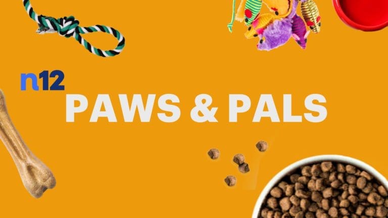 PAWS & PALS